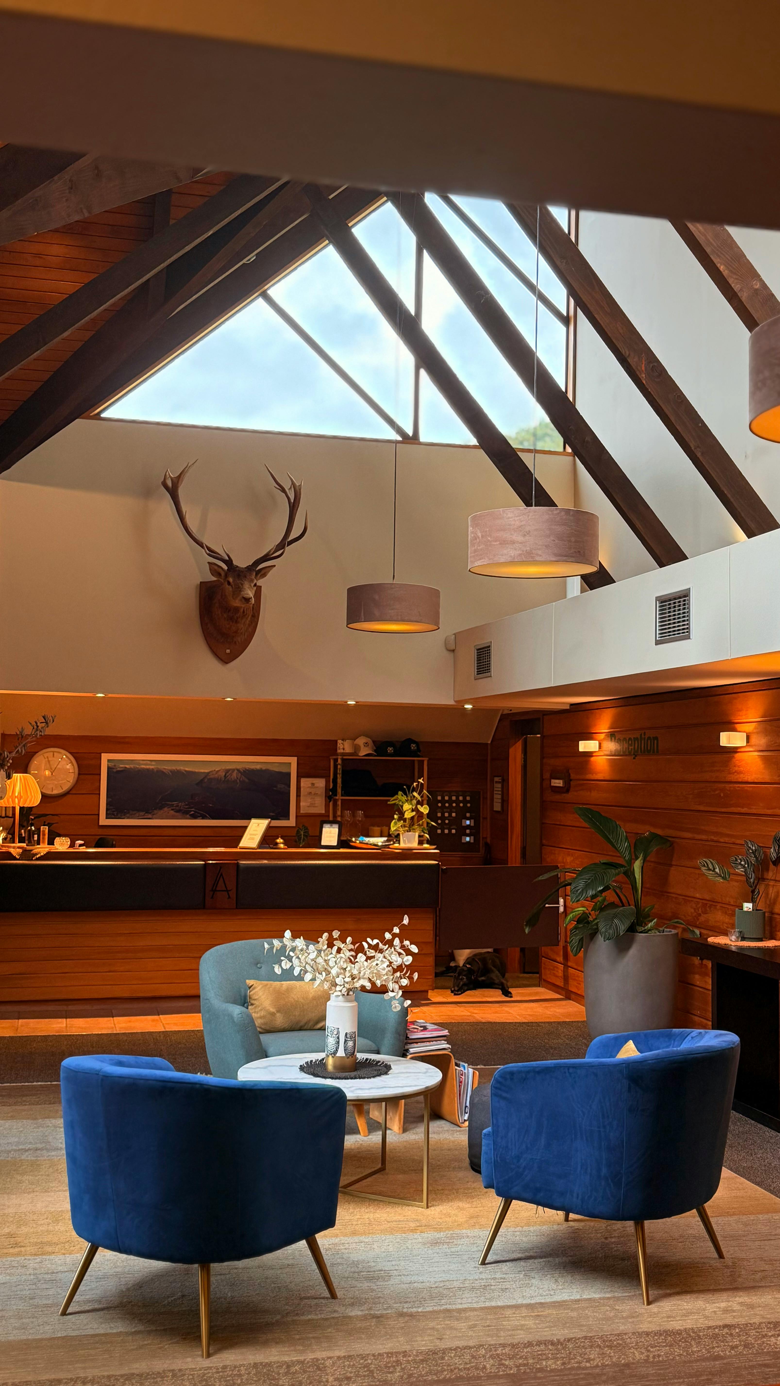 Reception & Lobby Areas